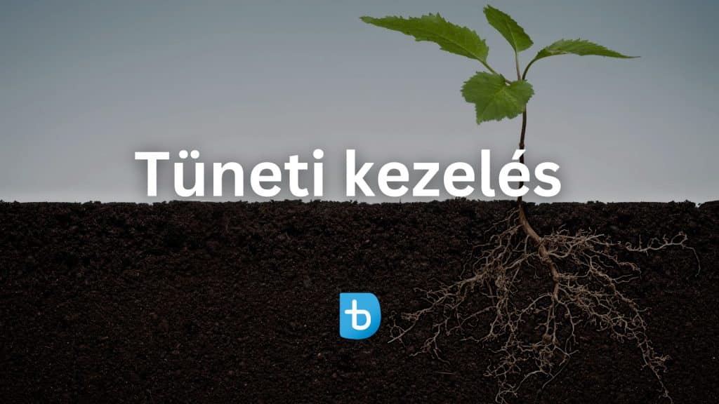 Tüneti kezelés